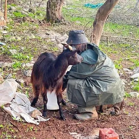 Quintal Do Ti Zaquiel Prázdninový dům
